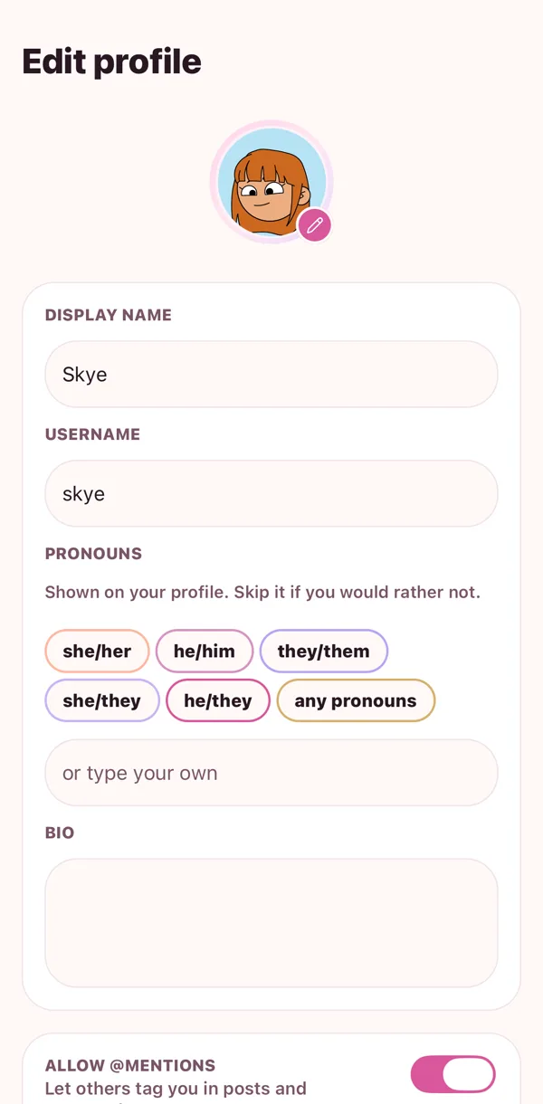 Name, pronouns, bio, banner.